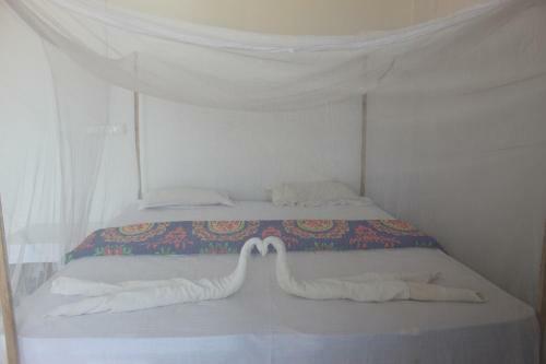 Hotel Mountain Palm Beach Resort