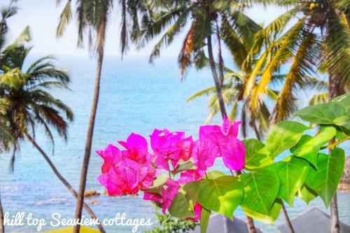 Hostal Hilltop Seaview Palolem