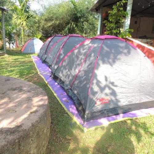 Dandeli - Jungle Nest