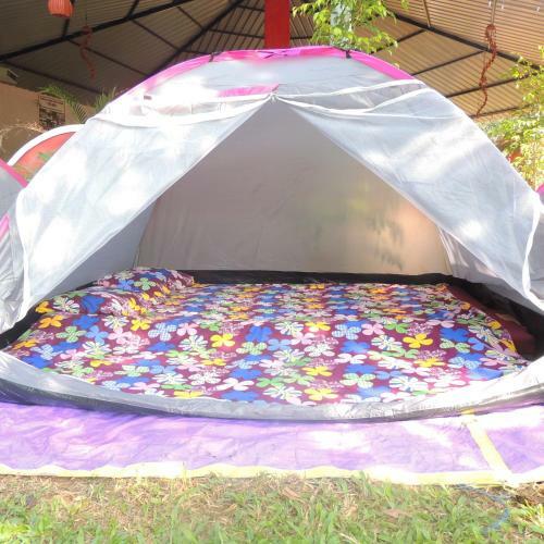 Dandeli - Jungle Nest