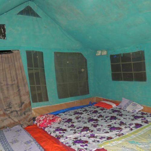 Dandeli - Jungle Nest