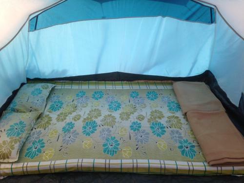 Dandeli - Jungle Nest