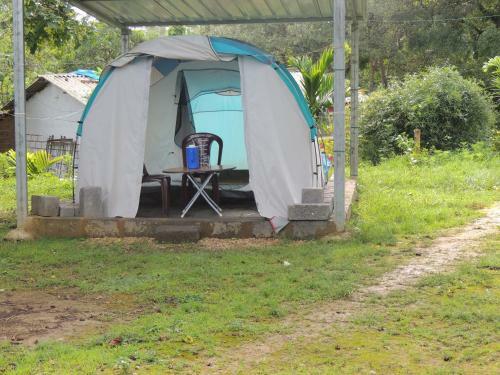 Dandeli - Jungle Nest
