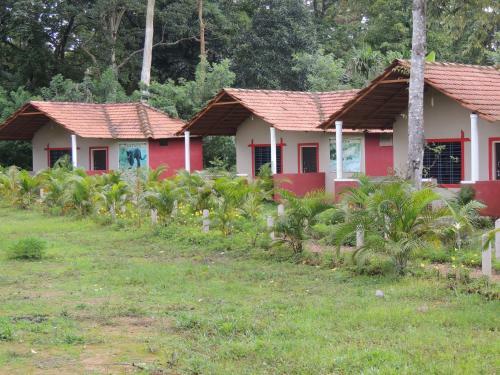 Dandeli - Jungle Nest