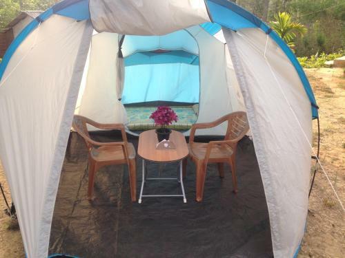 Dandeli - Jungle Nest