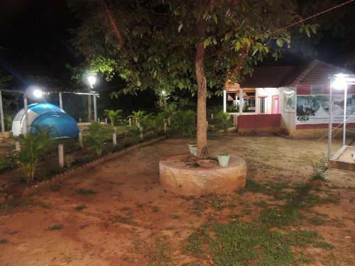 Dandeli - Jungle Nest