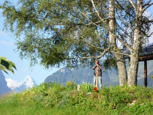 Bed & Breakfast Pension Chalet Berkana