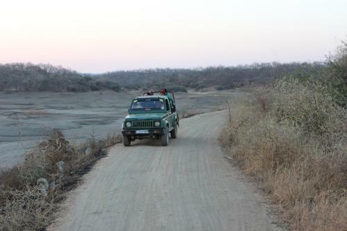 Gir Jungle Lodge