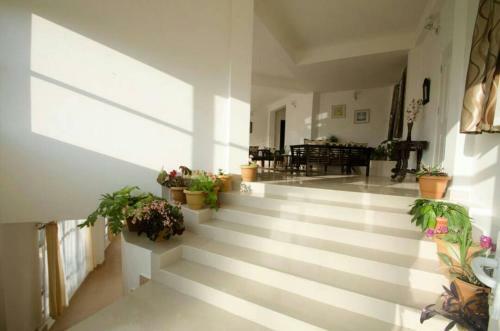 Hostal Lashisha