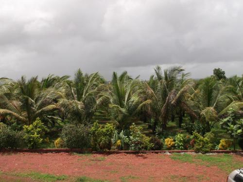 Hostal Rashmi Woods Hotel & Resort
