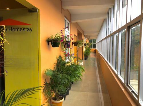 Hostal Orange Homestay