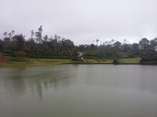 Athena Homestay