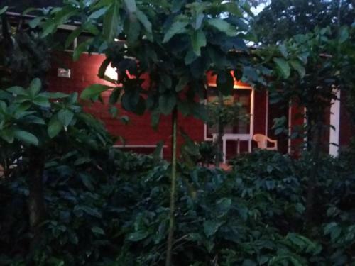 Athena Homestay