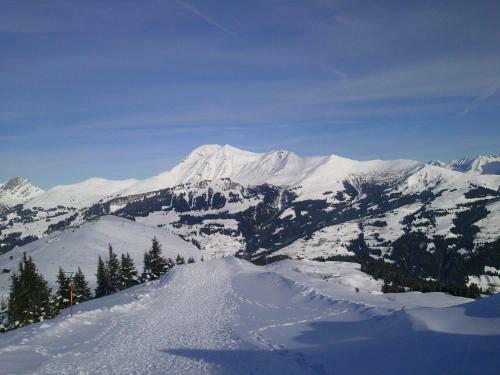 Apartamentos Ferienwohnung Lenk