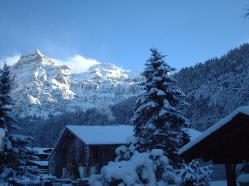 Apartamentos Ferienwohnung Lenk