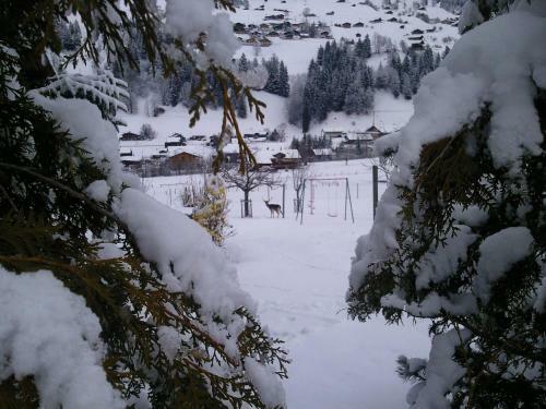 Apartamentos Ferienwohnung Lenk