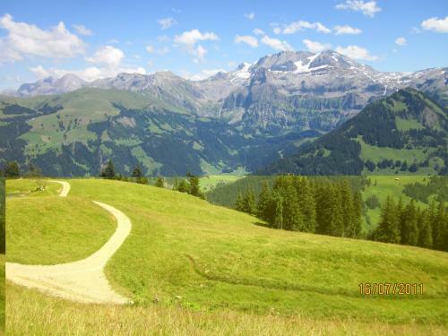 Apartamentos Ferienwohnung Lenk