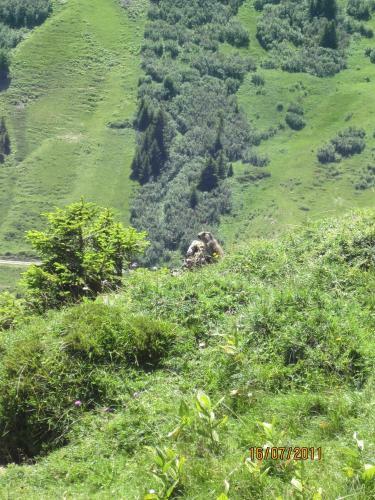 Apartamentos Ferienwohnung Lenk