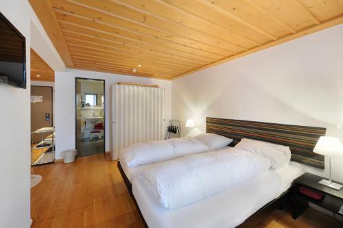 Hotel Krone Lenk