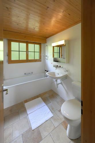 Apartamentos Lenkstrasse 6a