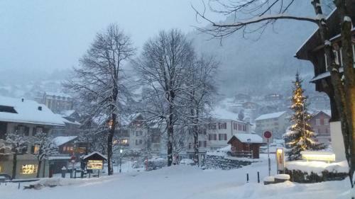 Hotel Hoheneck