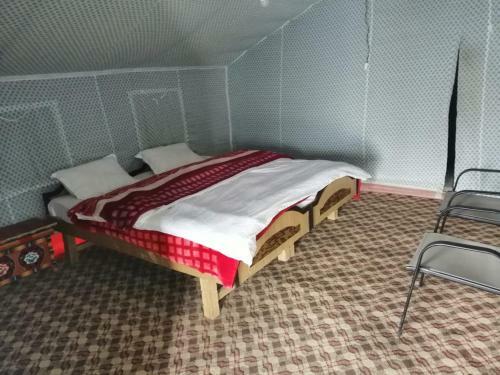 Auspicious Camp Pangong
