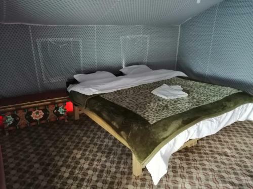 Auspicious Camp Pangong
