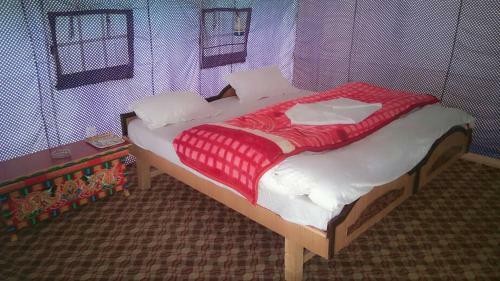 Auspicious Camp Pangong