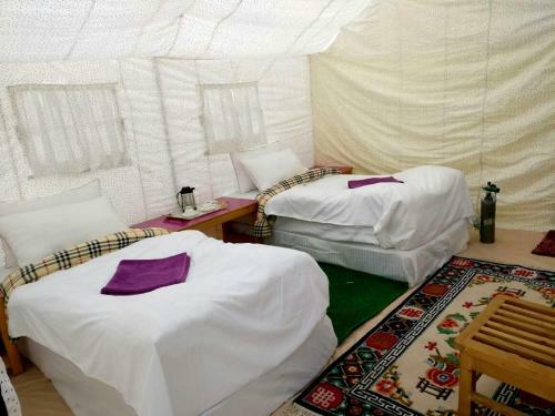 Tih The Regal Camp Pangong