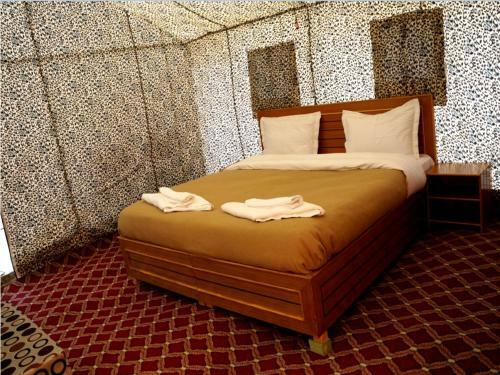 Ladakh Summer Pangong Camp