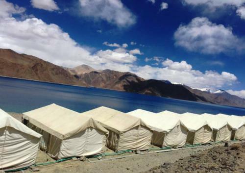 Ladakh Summer Pangong Camp