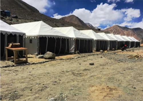 Ladakh Summer Pangong Camp