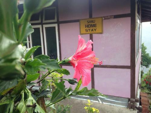 Sanu Homestay