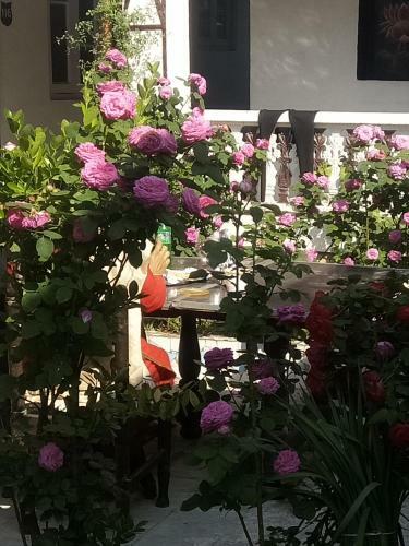 Bed & Breakfast Shalimar