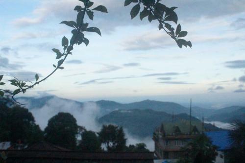 Solacetone Homestay