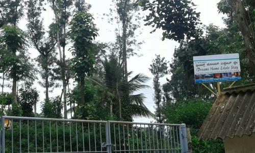 Dreams Homestay
