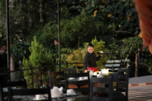 Hotel Paddington Resorts And Spa