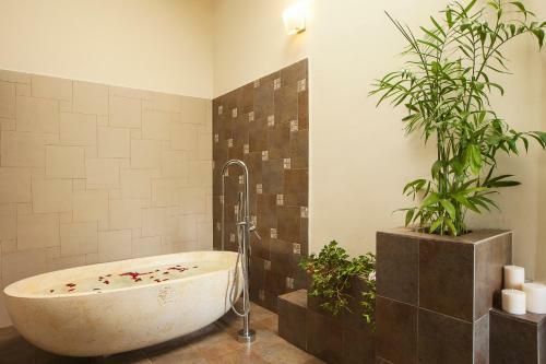 Hotel Old Kent Estates & Spa, Coorg
