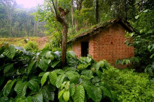Hotel Old Kent Estates & Spa, Coorg