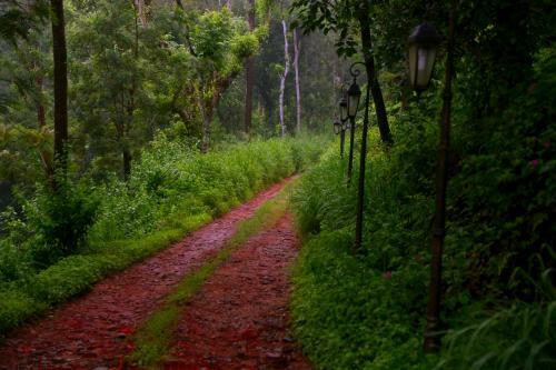 Hotel Old Kent Estates & Spa, Coorg