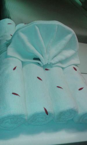 Sri Janakiram Hotels