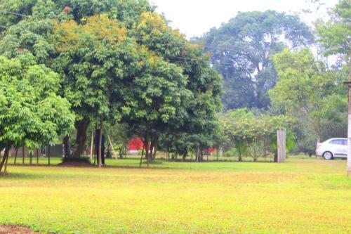 Hotel Chai Seeds Resort