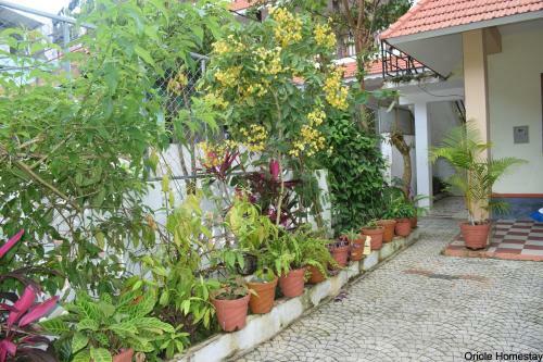 Oriole Homestay