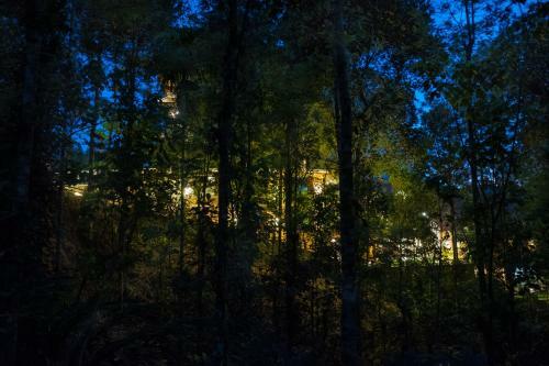 Hotel Crown Valley Thekkady