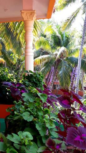 Thriphala Ayurveda Yoga Ashram