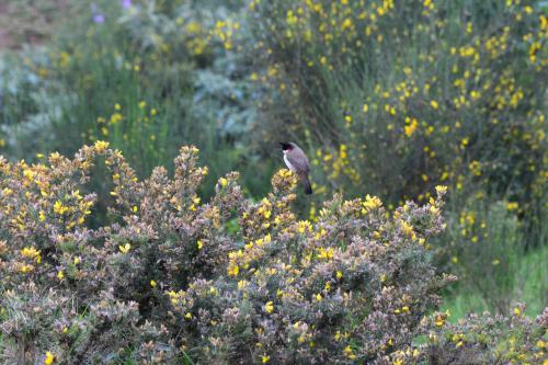Bed & Breakfast The Conerstayz