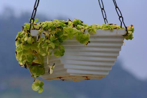 Bed & Breakfast The Conerstayz