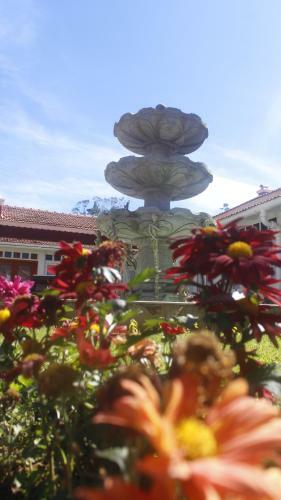 Hotel Vinnca West Downs Heritage Resort