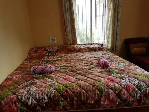 Bed & Breakfast Snowdon Heritage