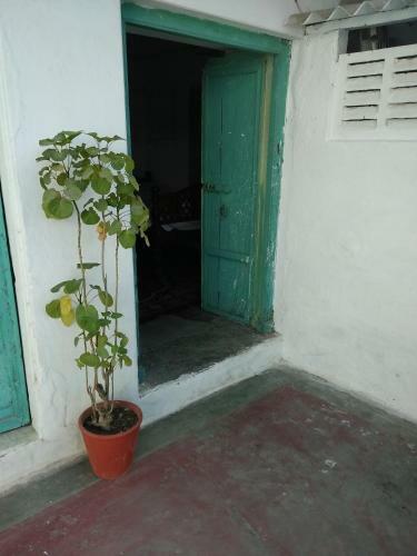 Heritage Haveli Yogdarshan